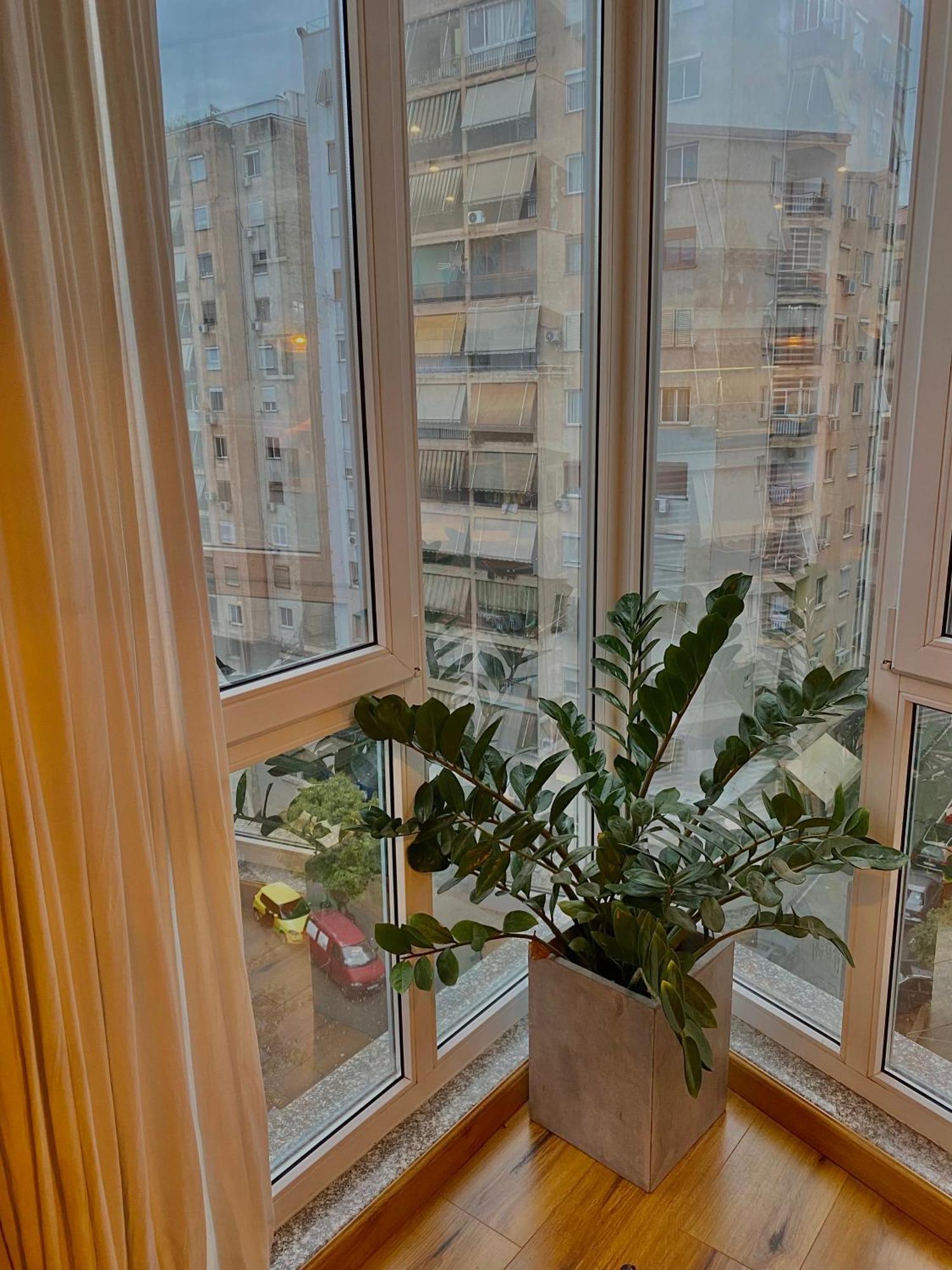 Kompleksi Kika 2 -apartment Apartamento Tirana